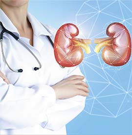 KIDNEY-YANG DEFICIENCY = WEAK IMMUNE SYSTEM:- To improve immunity to disease, you must strengthen your Kidney Health (Kidney “Yang-Qi” energy lifeforce)